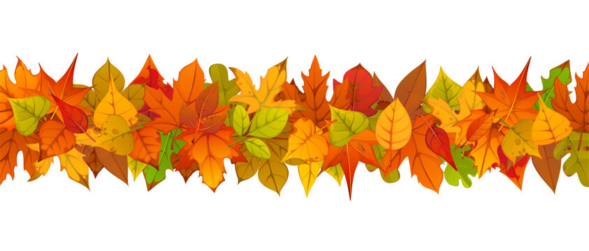Autumn leaves border for fall season and Thanksgiving decoration maple, oak, aspen and birch foliage. Vector horizontal colorful fallen tree leaves garland, isolated decorative seasonal divider strip