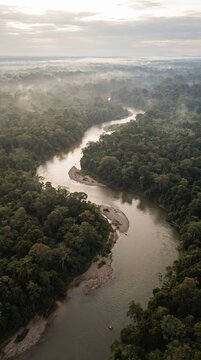 A river cuts through the lush green tropical forest. 🌿🏞️