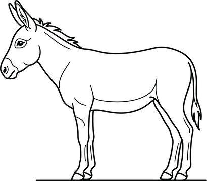 vector illustration of a horse