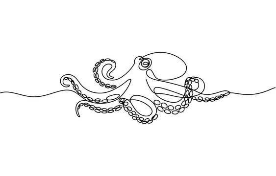 Continuous single line drawing of a swimming octopus animal