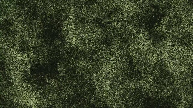 Dark Green Abstract Grunge Texture Background with Organic Mossy Pattern and Distressed Grainy Surface for Industrial Gr