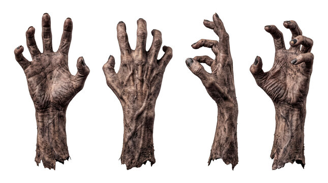 Dirty zombie hands with decaying skin and dark fingernails displayed