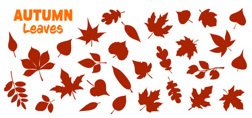 Fototapeta premium Autumn forest leaves silhouettes set on white background. Orange silhouettes of maple, oak, chestnut, birch, rowan tree leaves for laser cutting templates, print patterns and educational worksheets