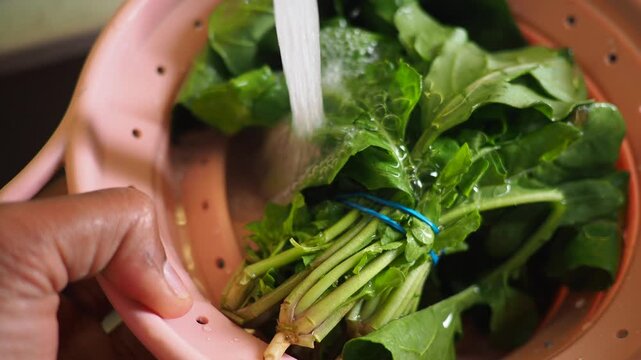 Washing fresh greens in a colander under running water in the kitchen