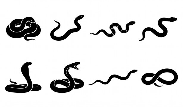 Snake Silhouette Collection, Black Reptile Shapes in Various Poses Isolated on White
