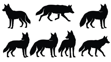 Obraz premium Black vector silhouettes of wild wolves in different poses