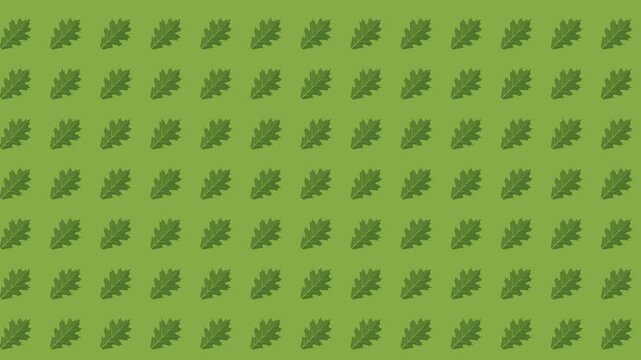 Green Oak Leaves Seamless Animation Loop