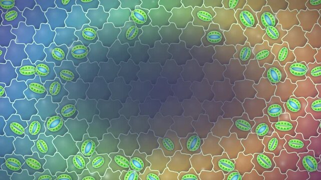 Tissue System of Plant Anatomy. Colorful leaf stomata opening and closing abstract seamless loop