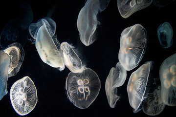 Family © Keith M. Barnett