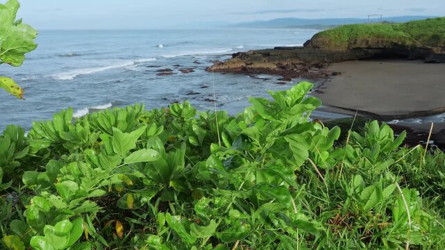 Secluded Bali Black Sand Coastline View With Basalt Rocks And Tidal Pools, Gentle Waves Lapping Empty Beach, Green Headland And Lush Foliage In Foreground, Drone Sweep Capturing Remote Bay