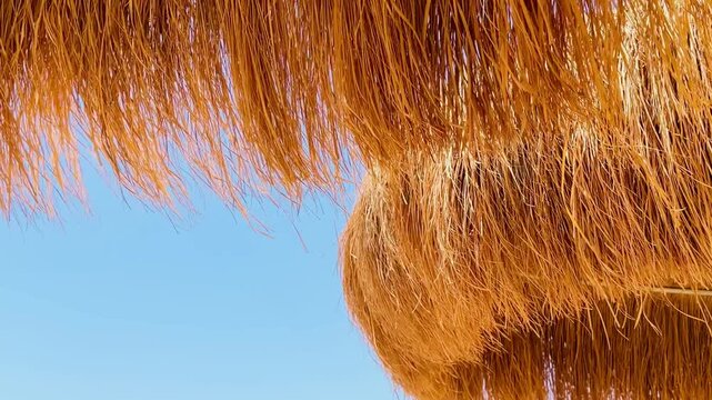 Detailed macro background of thick golden thatch beach parasol structure over pristine turquoise Red Sea waters in Sharm El Sheikh, Egypt, simple minimal organic resort vacation context texture.
