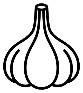 Garlic bulb line art isolated on white background