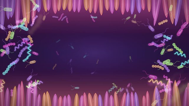 Illustration of Bacteria in Gut. Luminous bacteria floating among colorful gut villi seamless loop