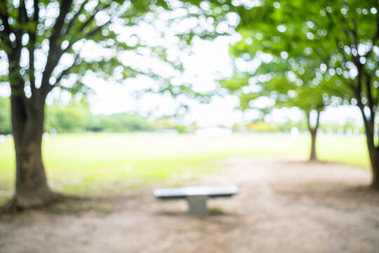Abstract bokeh background of green public park lawn with empty bench and trees
