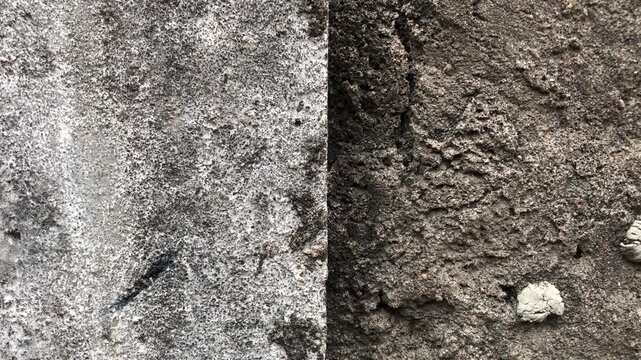 Split screen view showing a rough concrete wall surface and dark soil texture.