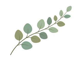 Obraz premium Eucalyptus Branch with Green Leaves in Soft Colors