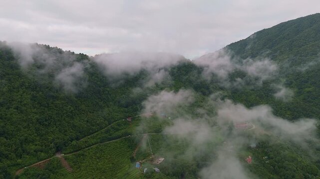 Drone footage of damaged houses stranded in thick flood mud along a riverbank with dense green forest beside the flood path in Nepal