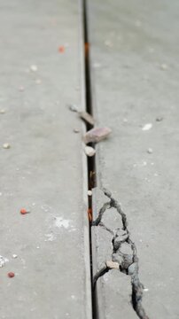 Close-up of cracked and broken concrete pavement along an expansion joint in the Netherlands, showing damaged edges, loose fragments and surface wear in vertical format.