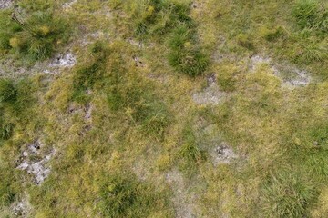 Fototapeta premium The Grass Field Aerial View Highlighting Textured Patches and Subtle Shades