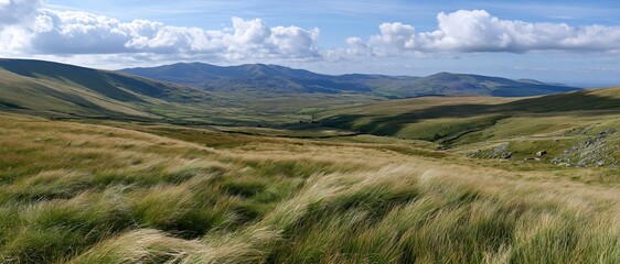 Fototapeta premium Panoramic view of wind-swept grassy moorland with rolling hills and distant mountains under a partly cloudy sky