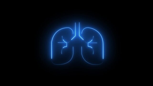 Lungs anatomy icon glowing blue line art isolated on transparent background for medical healthcare design