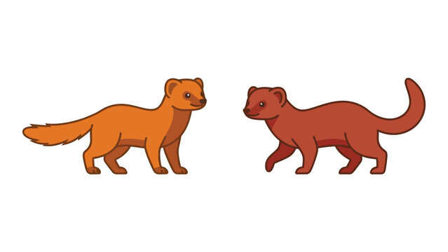 Cartoon Illustration Weasel, Two Different Colors
