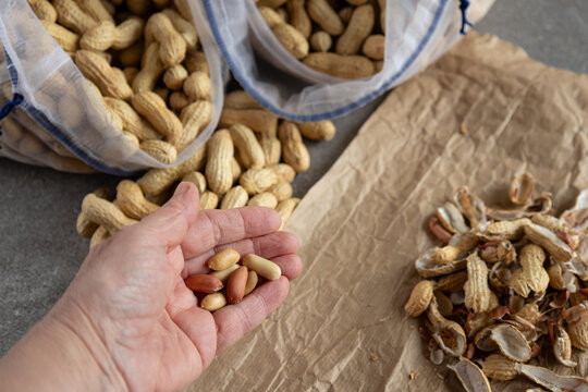 shelled peanuts holding in a hand over brown paper