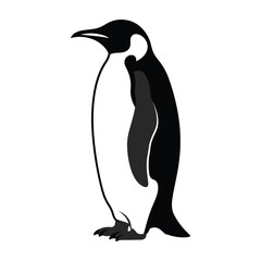 Fototapeta premium Black and white silhouette of an emperor penguin standing upright