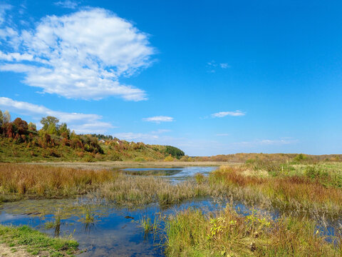 Autumn swampy walley in countryside