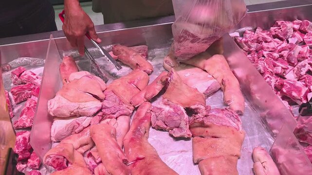 High angle view of customer using metal kitchen tongs selecting fresh raw pork trotters and knuckles into clear plastic bag at supermarket butcher tray
