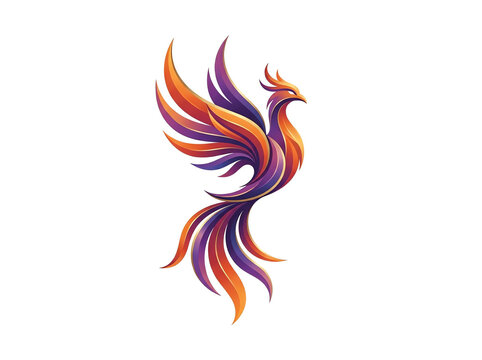 fire flames on white background