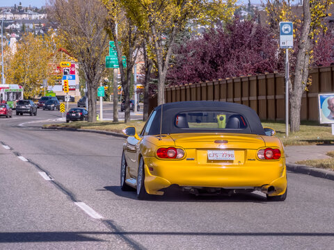 Calgary, AB, Canada. Oct 7, 2026. A yellow Mazda MX-5 Miata convertible driving down a sunny autumn suburban street from a rear angle.