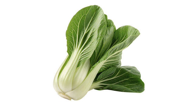 Fresh green organic bok choy pak choi cabbage vegetable isolated on transparent background