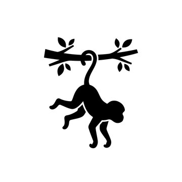 Monkey hanging from tree branch black silhouette vector shows playful wildlife behavior and jungle animal habitat for educational and nature related design work.