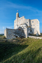 Fototapeta premium Zamek Mirów. Jura Krakowsko-Częstochowska. Polska.