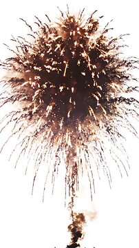 Vibrant multi colored fireworks exploding against bright sky