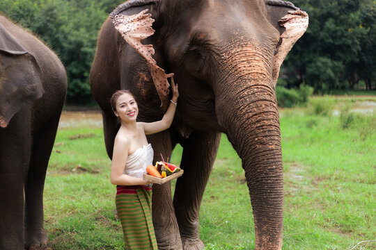 Asian woman feeding elephant with tropical fruit in green wildlife sanctuary, expressing joy during responsible animal care and cultural nature tourism