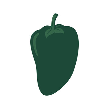 Fresh green bell pepper vector icon with dark emerald shade and stem detail for healthy food menu design or grocery store branding and vegetarian cooking recipes.