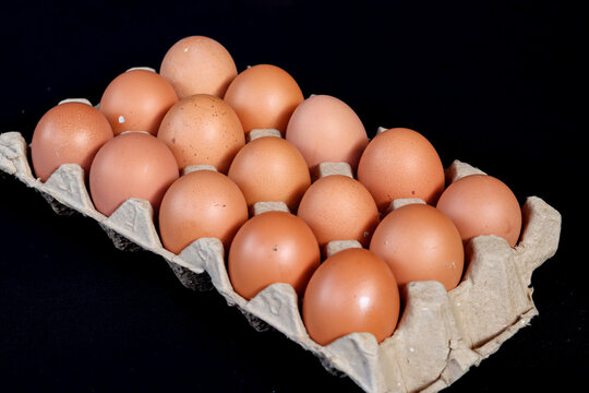 Brown chicken eggs in egg box isolated on black background. Closeup