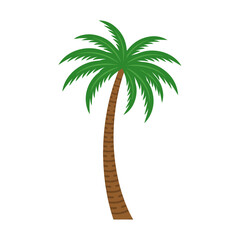Single tropical palm tree with green fronds and textured brown trunk isolated against transparent background for summer vacation beach resort landscape design. © Rubab