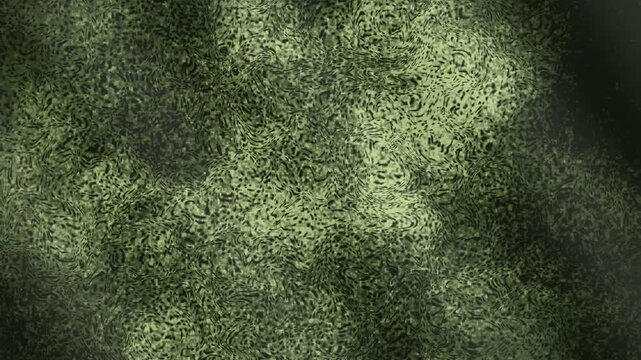 Dark Abstract Grunge Texture Background Featuring Organic Moss Green