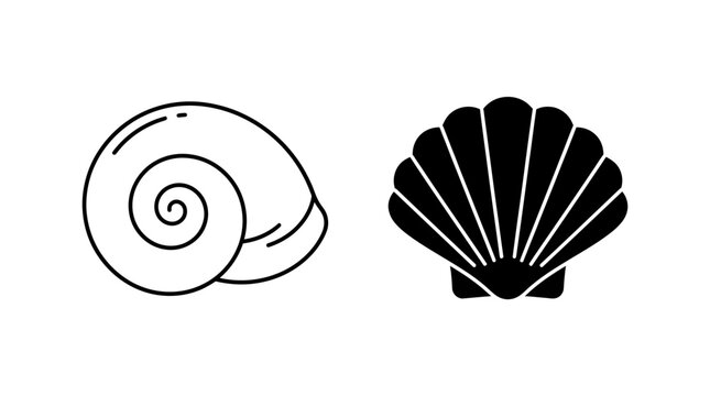 Monochrome vector icons of a spiral sea snail and a fan shaped seashell