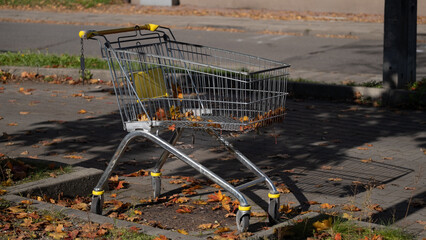 Shopping cart outdoors with autumn leaves © Nataliia