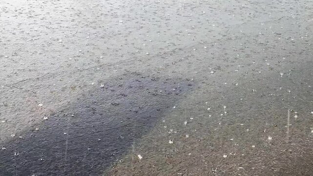 rain drops falling on wet asphalt during sunny daytime rainfall