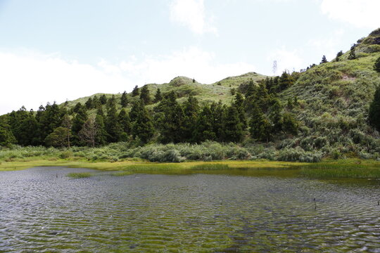 Menghuan pond wetland in Yangmingshan national park.
