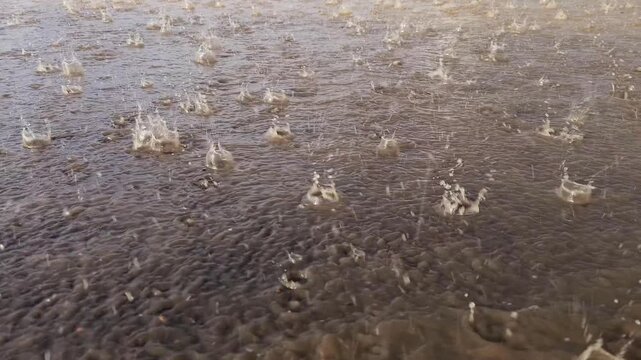 rain drops falling on wet asphalt during sunny daytime rainfall, low angle closeup view