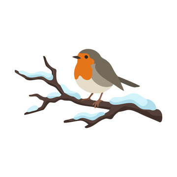Cute european robin bird sitting on a snowy tree branch during winter season Vector