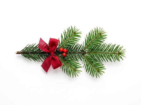 Green fir branch decorated with red ribbon bow and berries isolated on white background