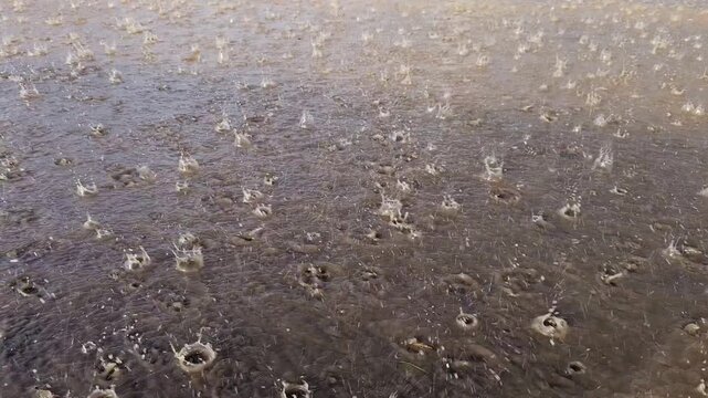 rain falling on wet asphalt during sunny daytime rainfall, low angle closeup view