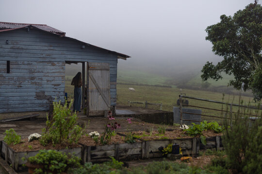 Woman stands in doorway of a rustic shed on a foggy day